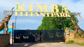 Kimba Elefant Park (thumb)